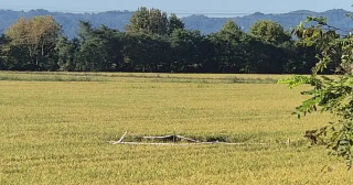 Schianto ultraleggero - Avviate le indagini, restano sotto sequestro i resti del piccolo aereo